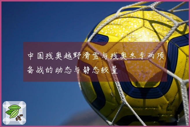 中国残奥越野滑雪与残奥冬季两项备战的动态与静态较量