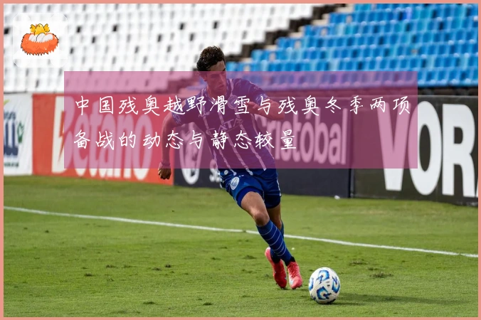 中国残奥越野滑雪与残奥冬季两项备战的动态与静态较量