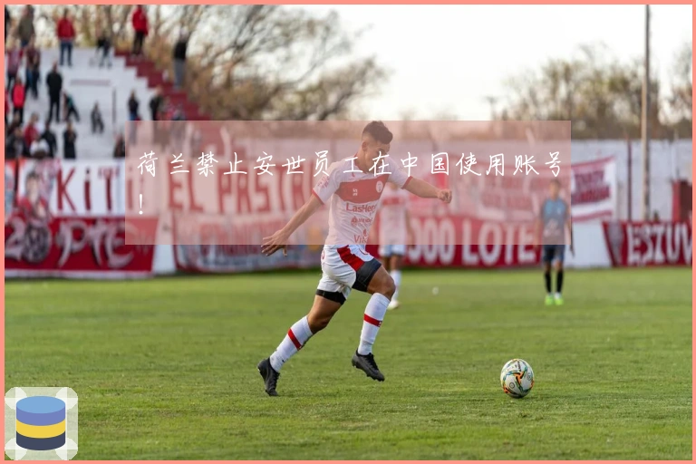 荷兰禁止安世员工在中国使用账号！